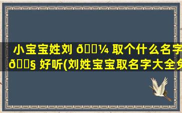 小宝宝姓刘 🐼 取个什么名字 🐧 好听(刘姓宝宝取名字大全免费)